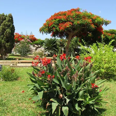 度假居 El Saguaro