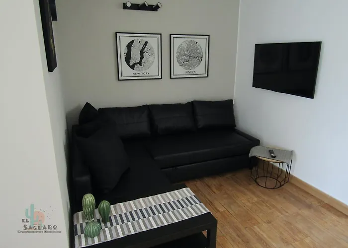 別荘 El Saguaro アロナ