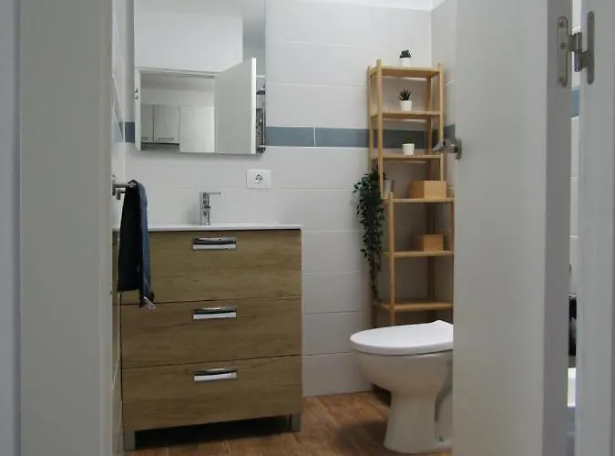 El Saguaro アロナ