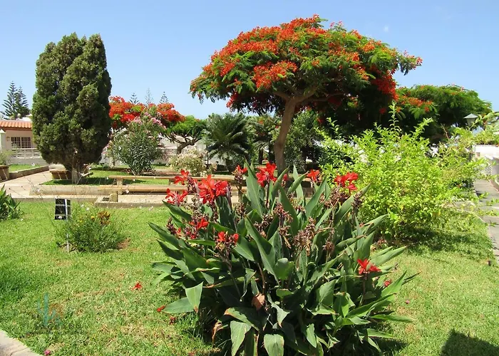 Vakantiehuis El Saguaro